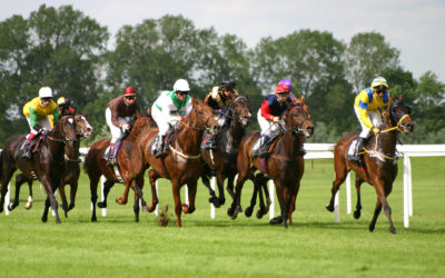Lots of Winners with the race tracks