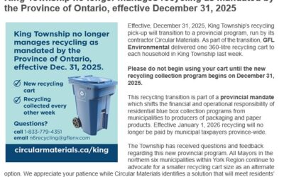 About those huge blue recycle bins!